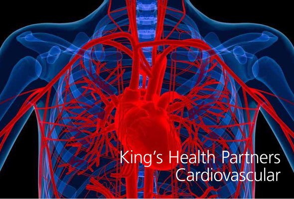 Khpcardiovascular outcomes book listing