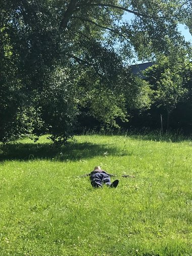 JM green grass