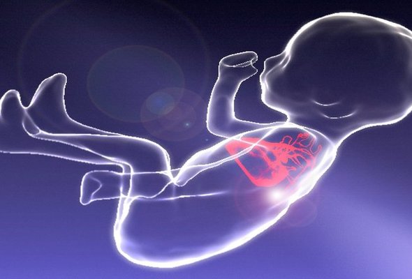 3d foetal heart imaging listing