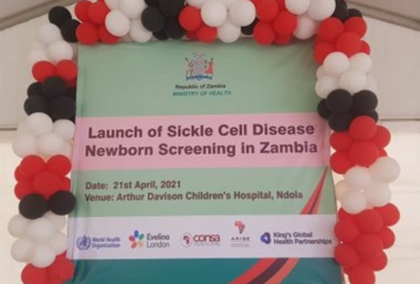 Sickle cell disease newborn screening in zambia small listing