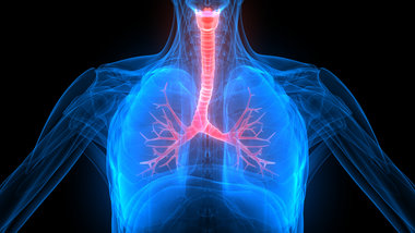 Hi-tech image of lungs