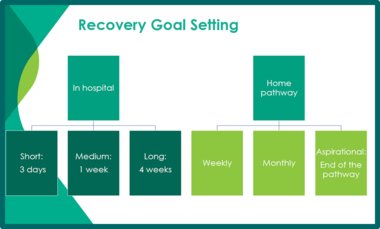 Recovery goal setting - Life Lines - July 2022