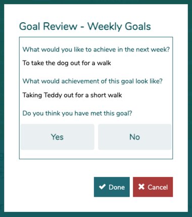 Goal review weekly goals - Life Lines - July 2022