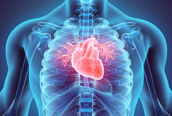 Cardiovascular health listing