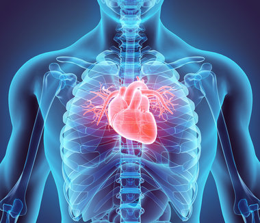 Stock hi-tech image of heart in x-ray human chest