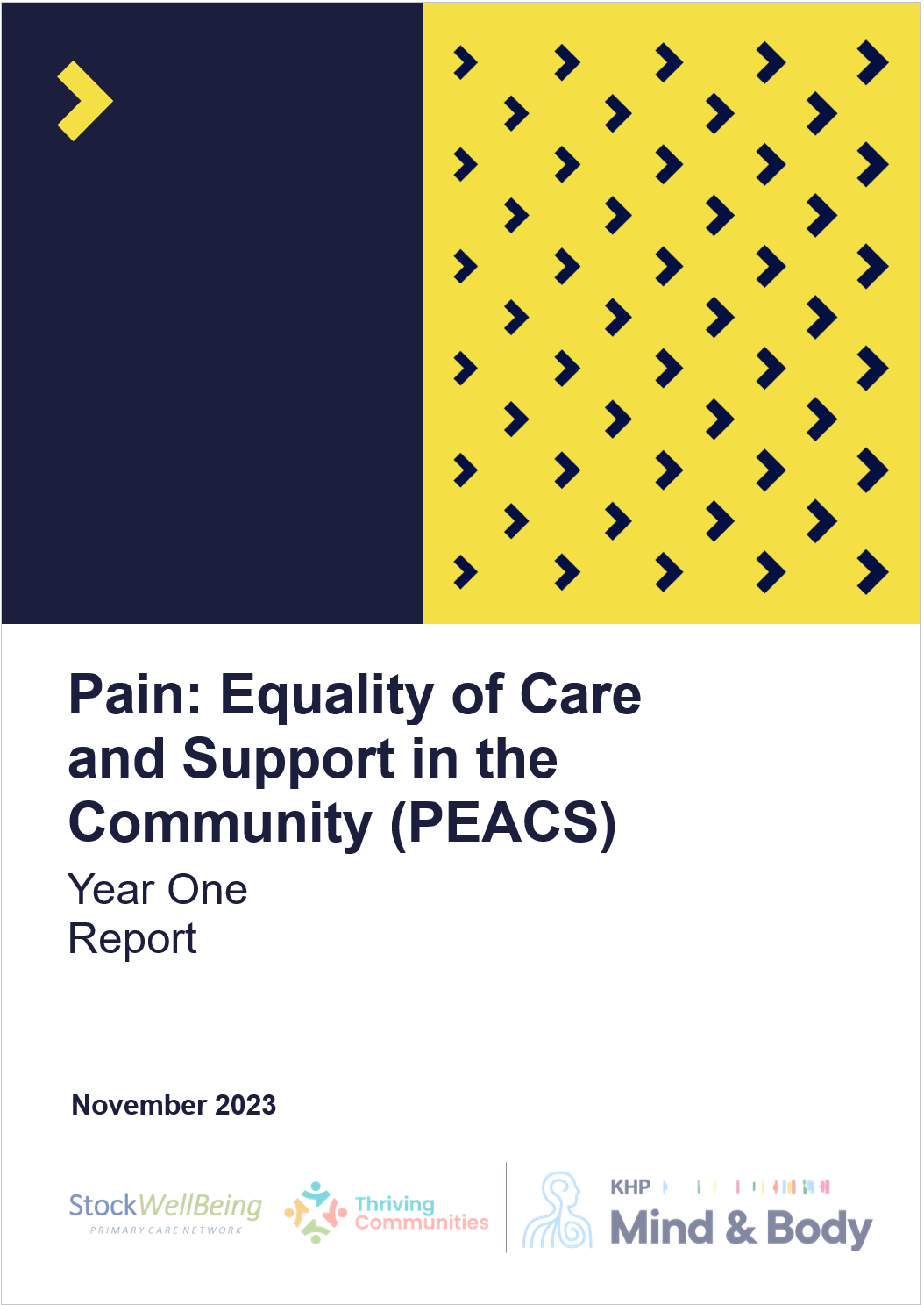 PEACS Year 1 report cover